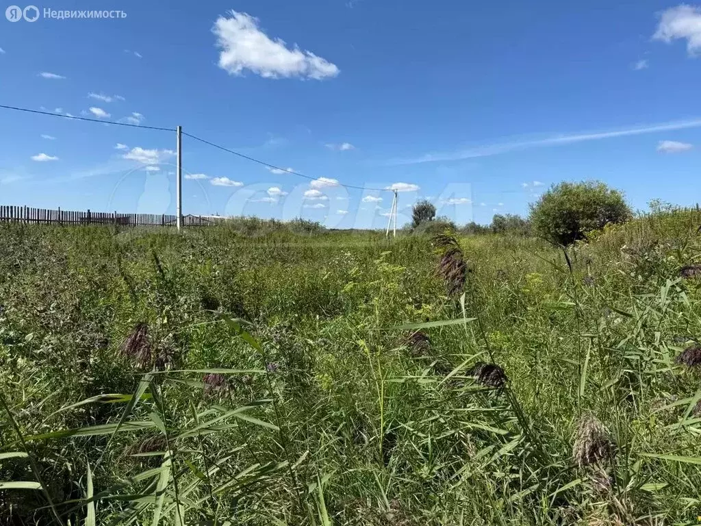Участок в Исетский район, деревня Кукушки (19.6 м) - Фото 0