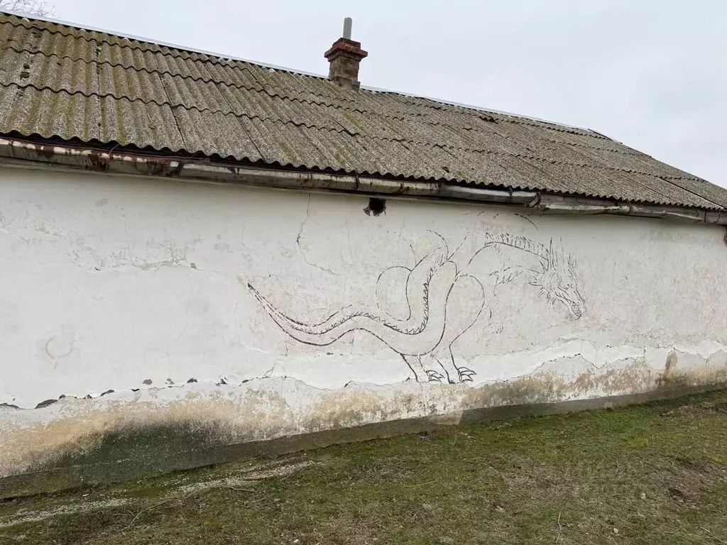 Дом в Калмыкия, Приютненский район, с. Воробьевка  (55 м) - Фото 0