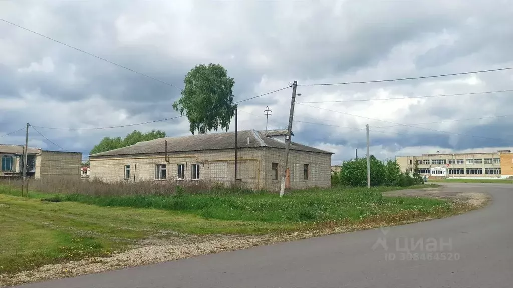 Помещение свободного назначения в Пензенская область, Бессоновский ... - Фото 0
