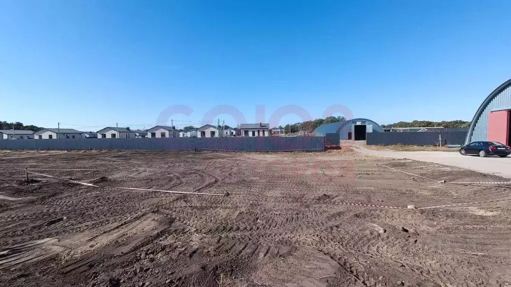 Участок в Волгоградская область, Среднеахтубинский район, Фрунзенское ... - Фото 1