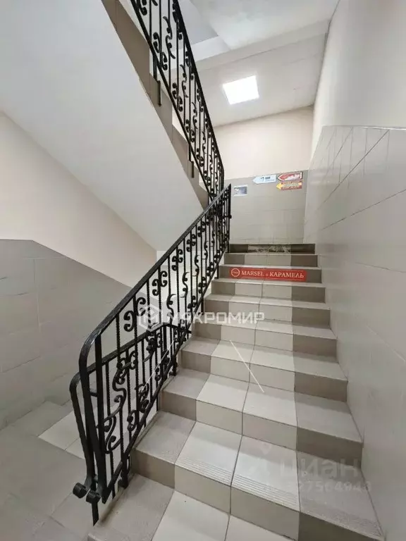 Помещение свободного назначения в Архангельская область, Архангельск ... - Фото 2