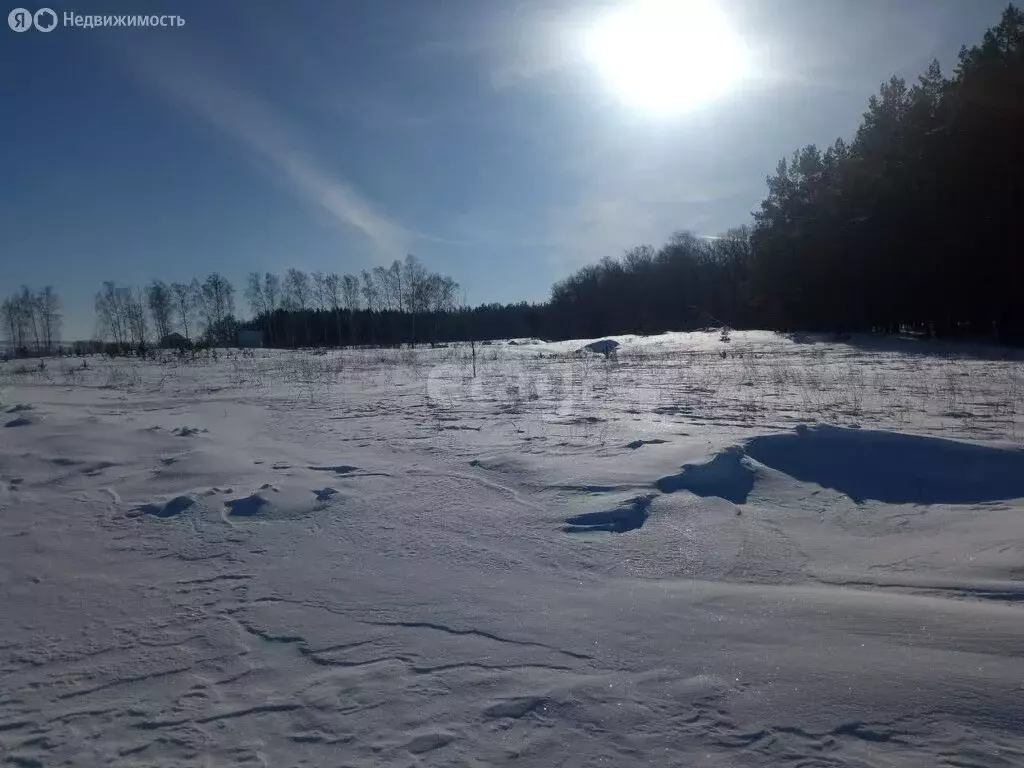 Участок в село Луговое, Вяземская улица (15 м) - Фото 0