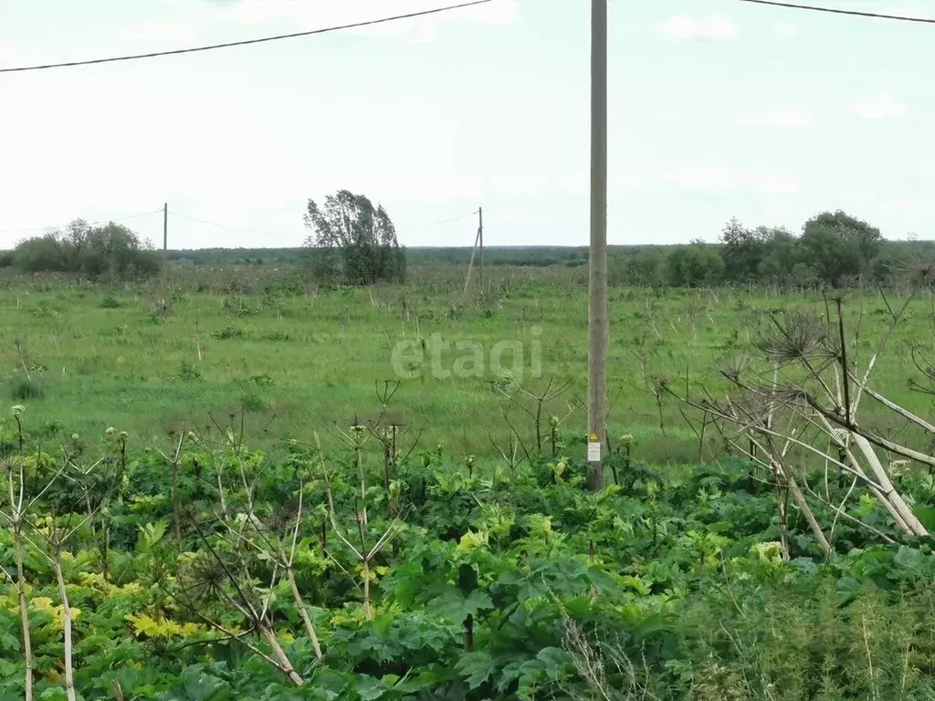 Участок в Коми, Сыктывдинский район, с. Выльгорт  (12.8 сот.) - Фото 1