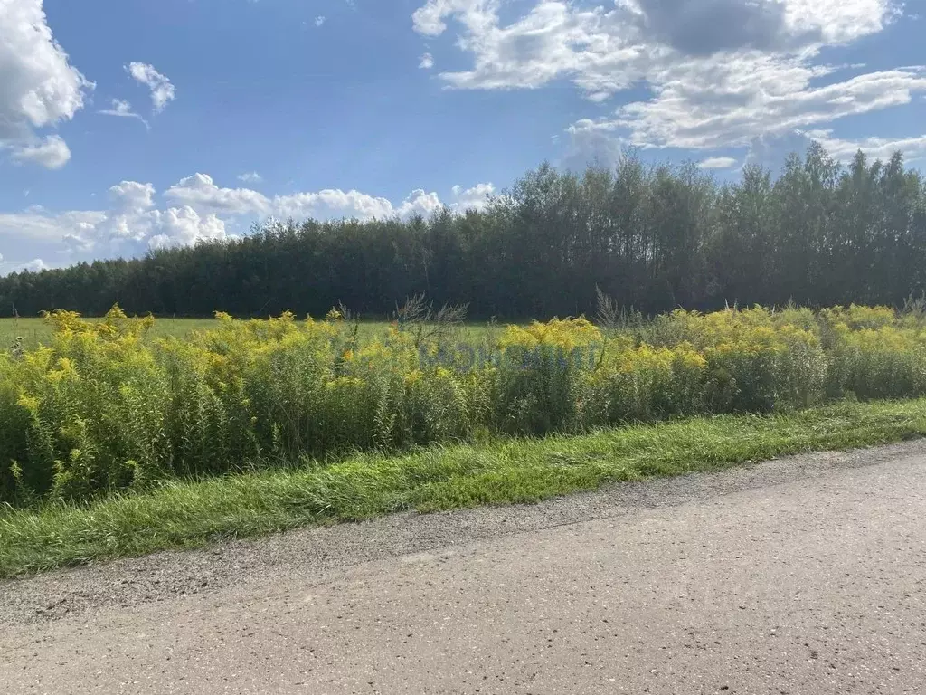Участок в Нижегородская область, Богородский муниципальный округ, с. ... - Фото 1