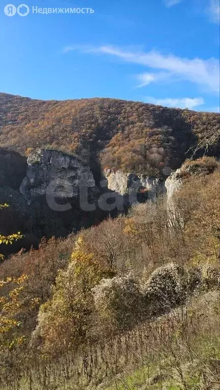 Участок в Белогорский район, Криничненское сельское поселение, село ... - Фото 2