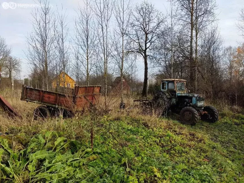 Участок в Волосовский район, Большеврудское сельское поселение, ... - Фото 1