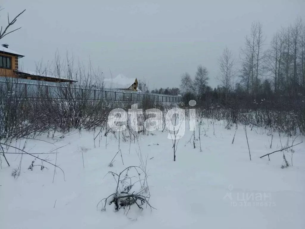 Участок в Курганская область, Шадринск ул. Фофанова (10.6 сот.) - Фото 2