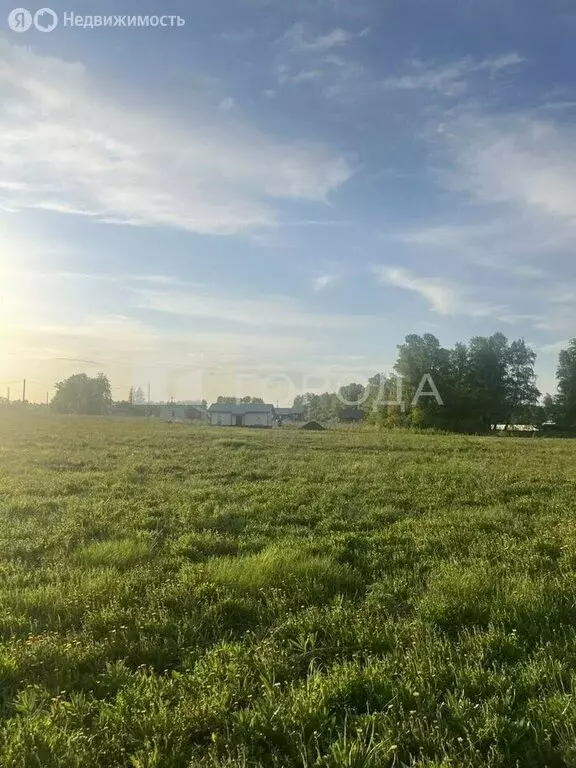 Участок в Новосибирский район, Морской сельсовет (5.4 м) - Фото 1