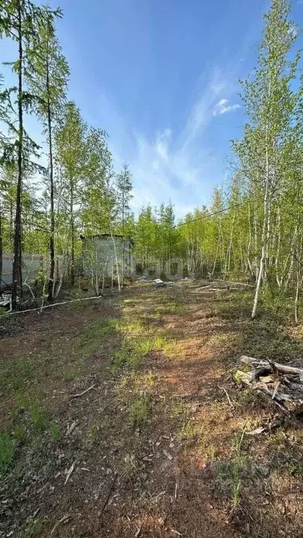 Участок в Саха (Якутия), Якутск Вилюйский тракт, 13 (16.2 сот.) - Фото 0