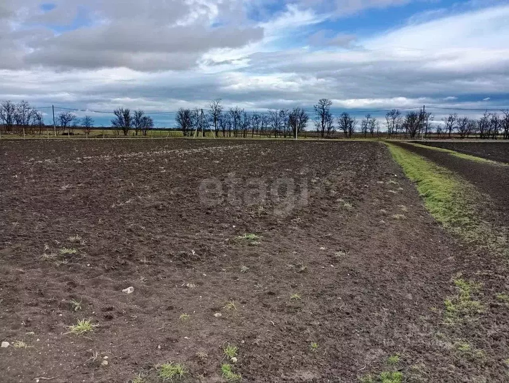 Участок в Крым, Советский район, Пушкинское с/пос, с. Маковка ул. ... - Фото 1