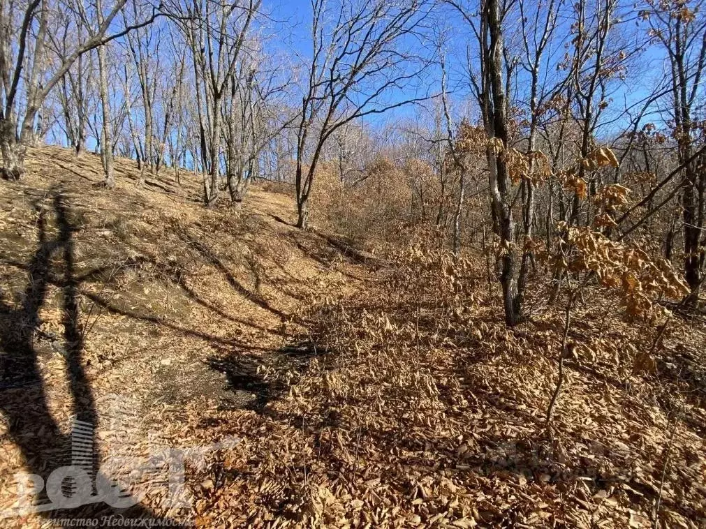 Участок в Приморский край, Артем ул. 3-я Ключевая (8.99 сот.) - Фото 1