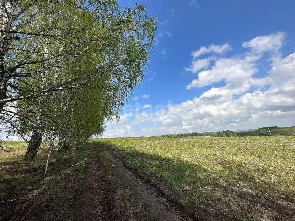 Участок в Нижегородская область, Богородский муниципальный округ, с. ... - Фото 1