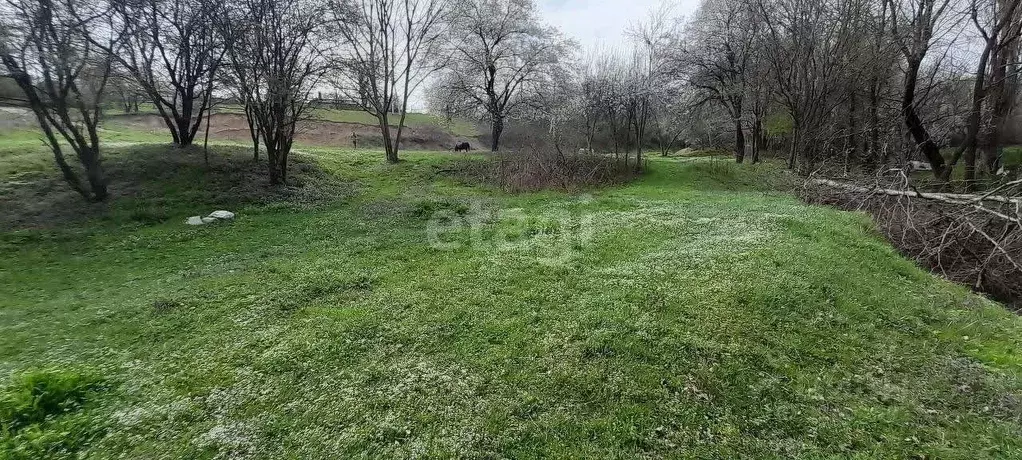 Участок в Краснодарский край, Новороссийск городской округ, Раевская ... - Фото 0
