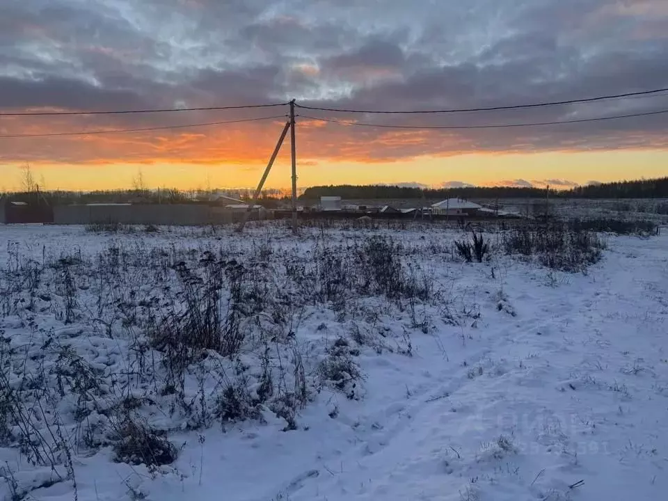 Участок в Московская область, Кашира проезд 1-й Новоселов (6.0 сот.) - Фото 1