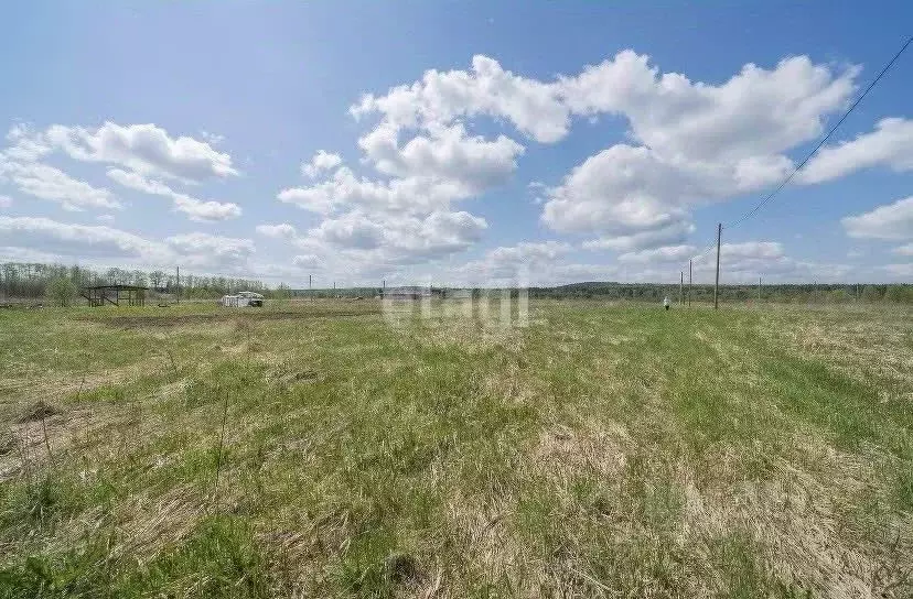 Участок в Пермский край, Пермский муниципальный округ, д. Большакино, ... - Фото 1