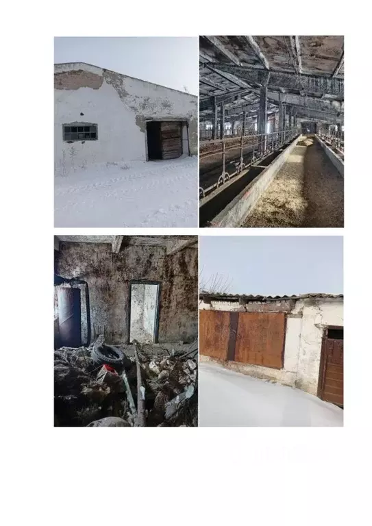 Помещение свободного назначения в Алтайский край, Немецкий ... - Фото 0