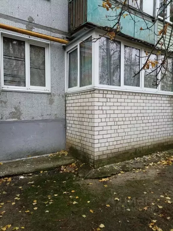 2-к кв. Волгоградская область, Камышин ул. Гагарина, 153 (47.5 м) - Фото 1