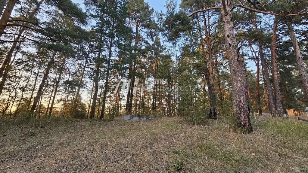 Участок в Московская область, Щелково городской округ, д. Первая ... - Фото 0