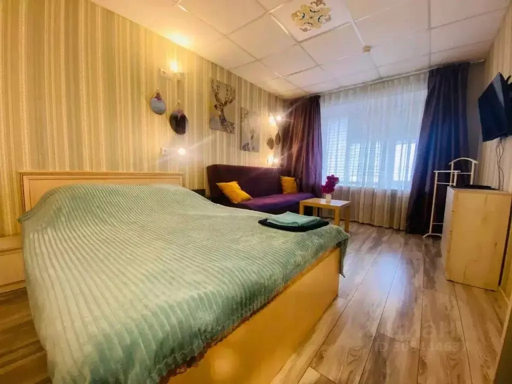 1-к кв. Вологодская область, Череповец Пионерская ул., 23Б (26.0 м) - Фото 1