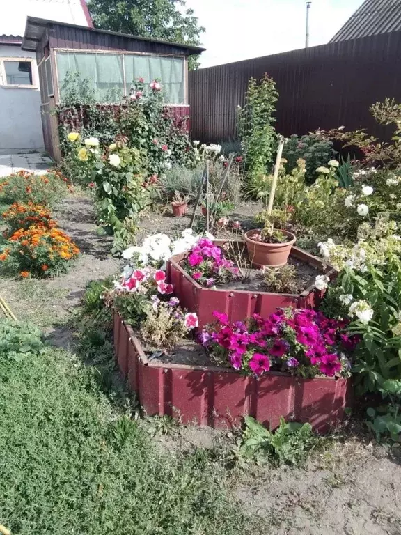 Дом в Белгородская область, Ивнянский муниципальный округ, с. ... - Фото 1