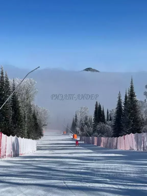 Участок в Алтай, Майминский район, Манжерокское с/пос, с. Озерное ул. ... - Фото 1