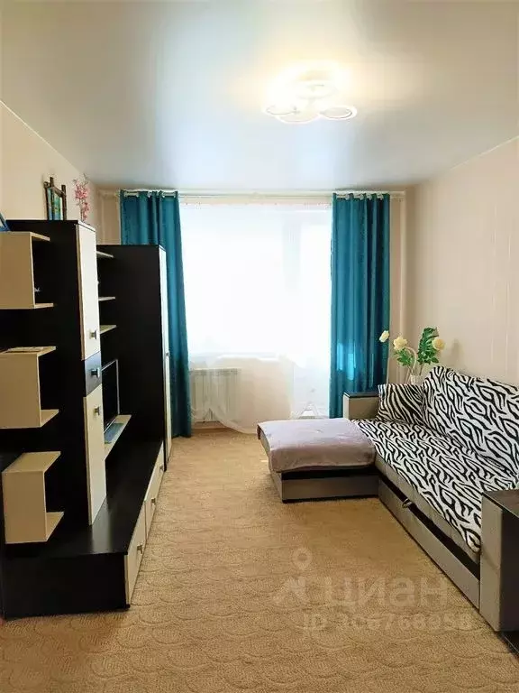 1-к кв. Ленинградская область, Гатчина ул. Радищева, 14 (40.0 м) - Фото 2