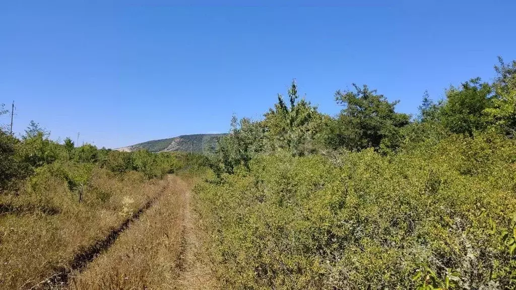 Участок в Крым, Кировский район, Первомайское с/пос, Заря СНТ ул. ... - Фото 1