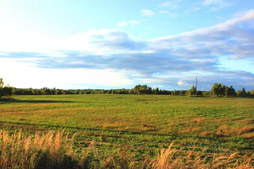 Участок в Смоленская область, Семлево ст.  (500.0 сот.) - Фото 1