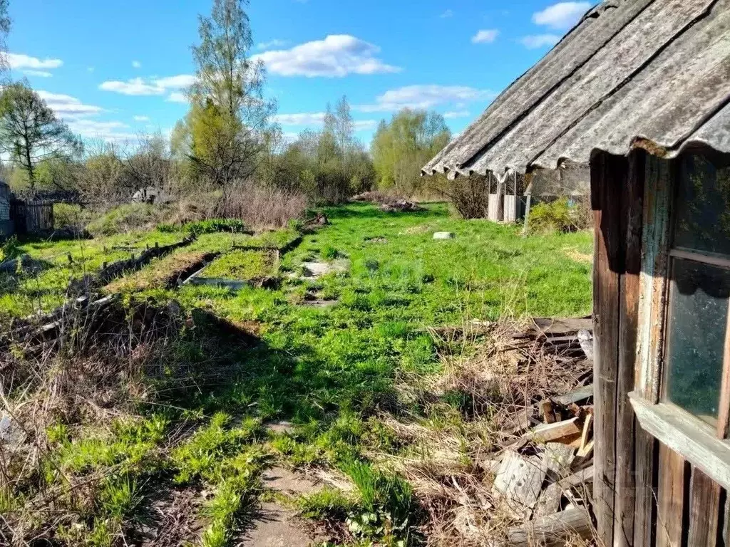 Участок в Ярославская область, Данилов Любимская ул., 22 (15.0 сот.) - Фото 0