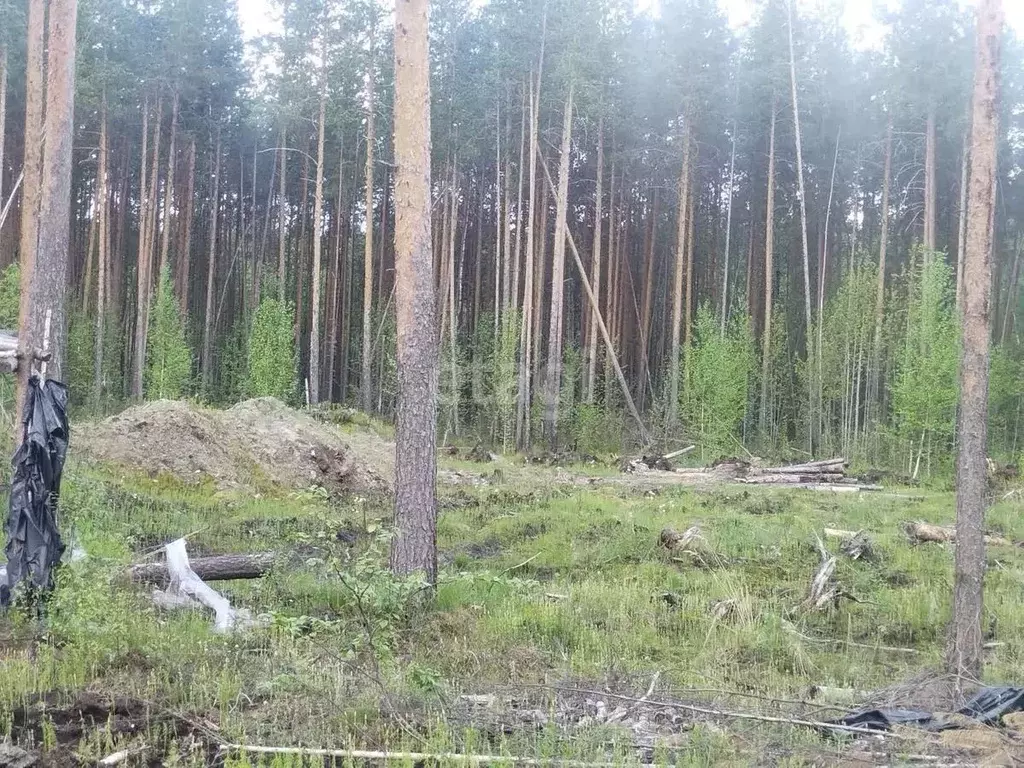 Участок в Коми, Сыктывкар городской округ, Верхняя Максаковка пгт, ... - Фото 1