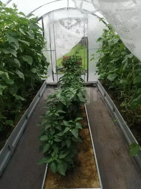 Дом в Новокузнецк, СНТ Родничок, Карьерная улица (40 м) - Фото 1