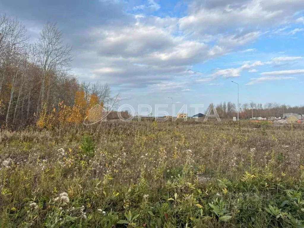 Участок в Тюменская область, Тюменский муниципальный округ, ... - Фото 2