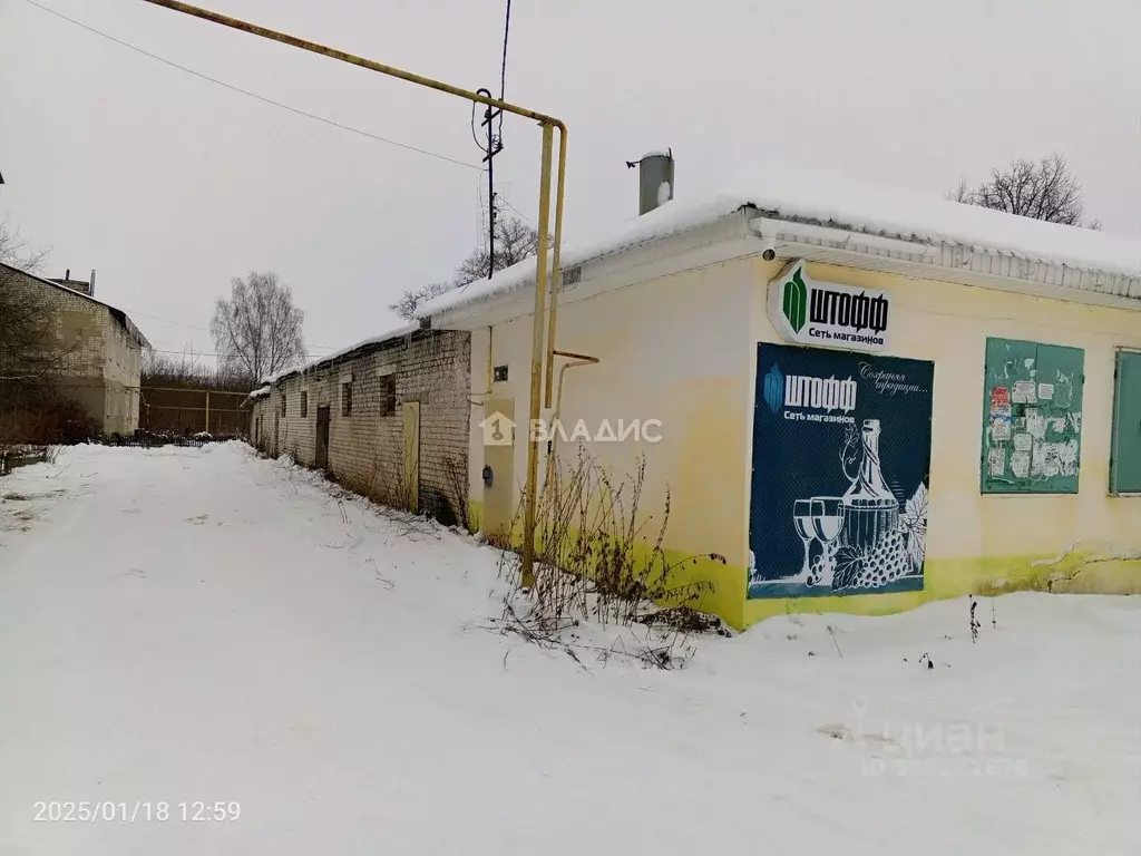 Торговая площадь в Нижегородская область, Богородский муниципальный ... - Фото 1