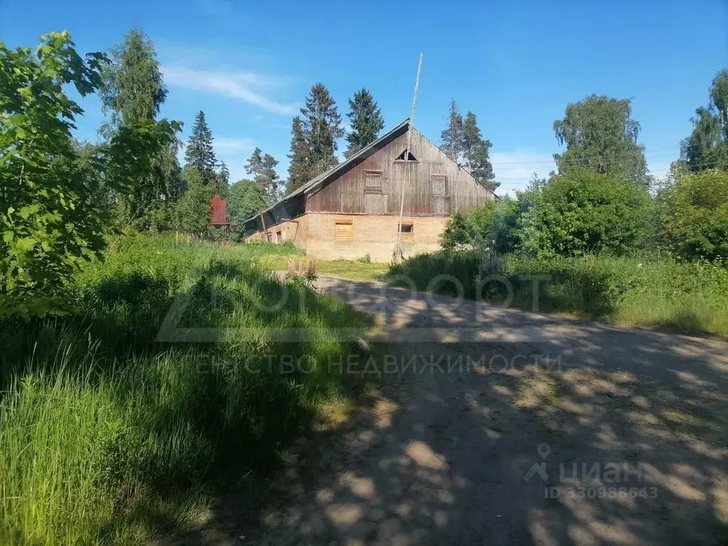Помещение свободного назначения в Ленинградская область, Приозерский ... - Фото 1