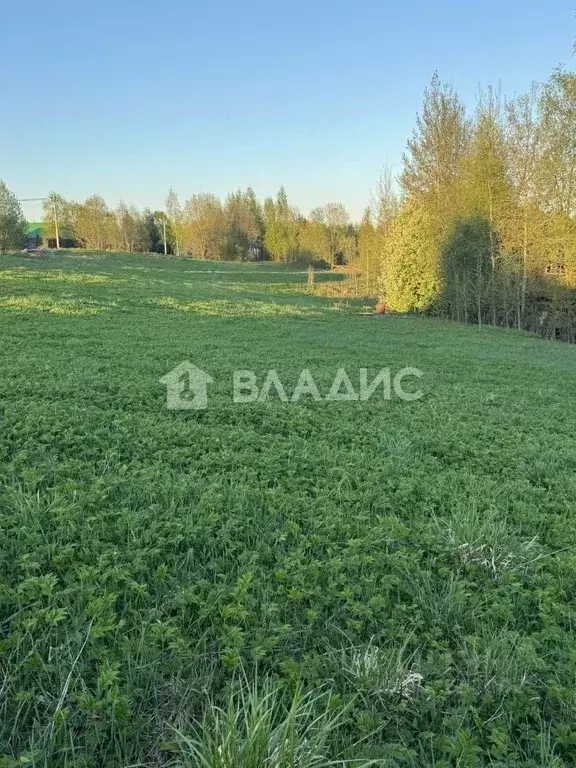 Участок в Ленинградская область, Всеволожский район, Бугровское ... - Фото 0