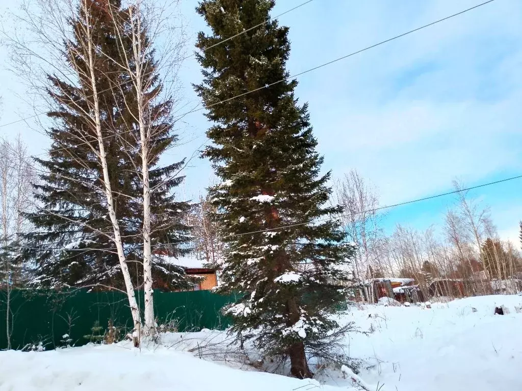 Участок в Иркутская область, Иркутский муниципальный округ, Дражное ... - Фото 1