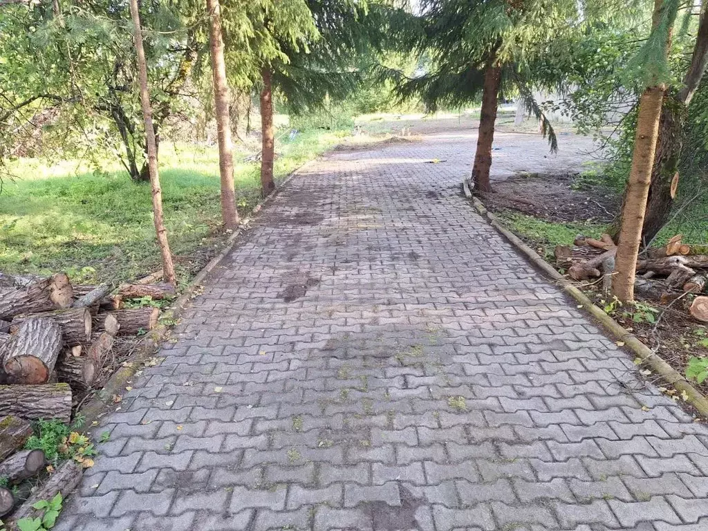 Участок в Псковская область, Островская волость, д. Городище ул. ... - Фото 0