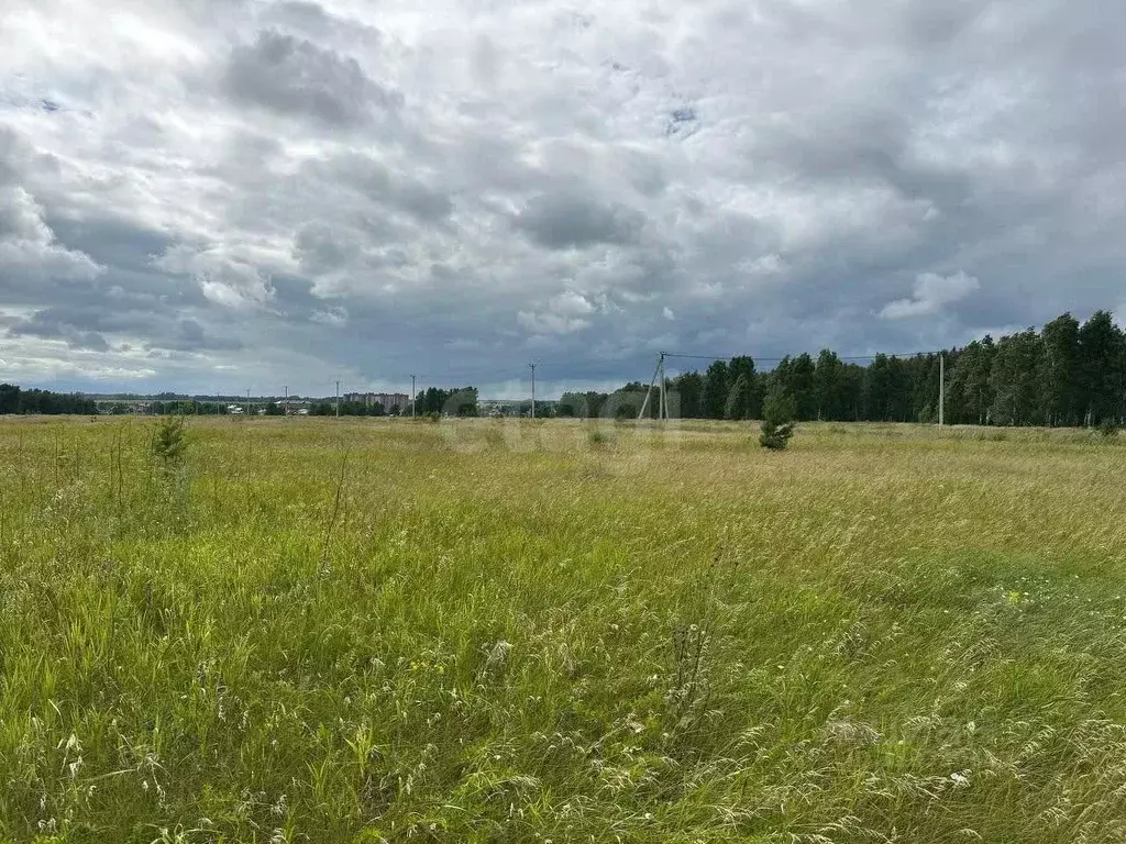 Участок в Новосибирская область, Новосибирский район, Морской ... - Фото 0