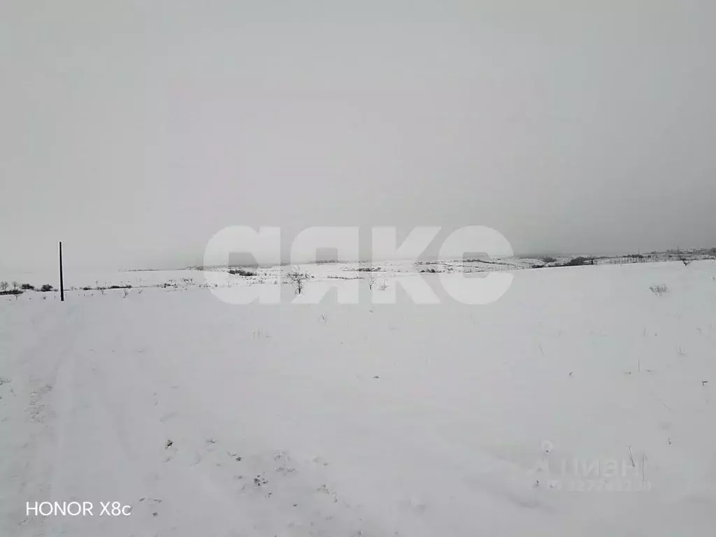 Участок в Волгоградская область, Городищенский район, Царицынское ... - Фото 2