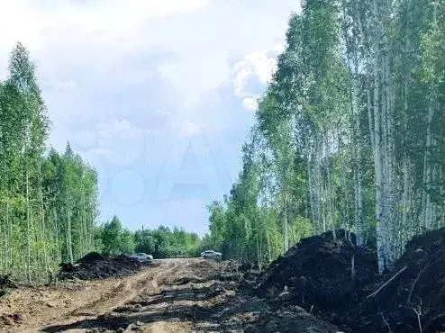 Участок 6 сот. (СНТ, ДНП) - Фото 0