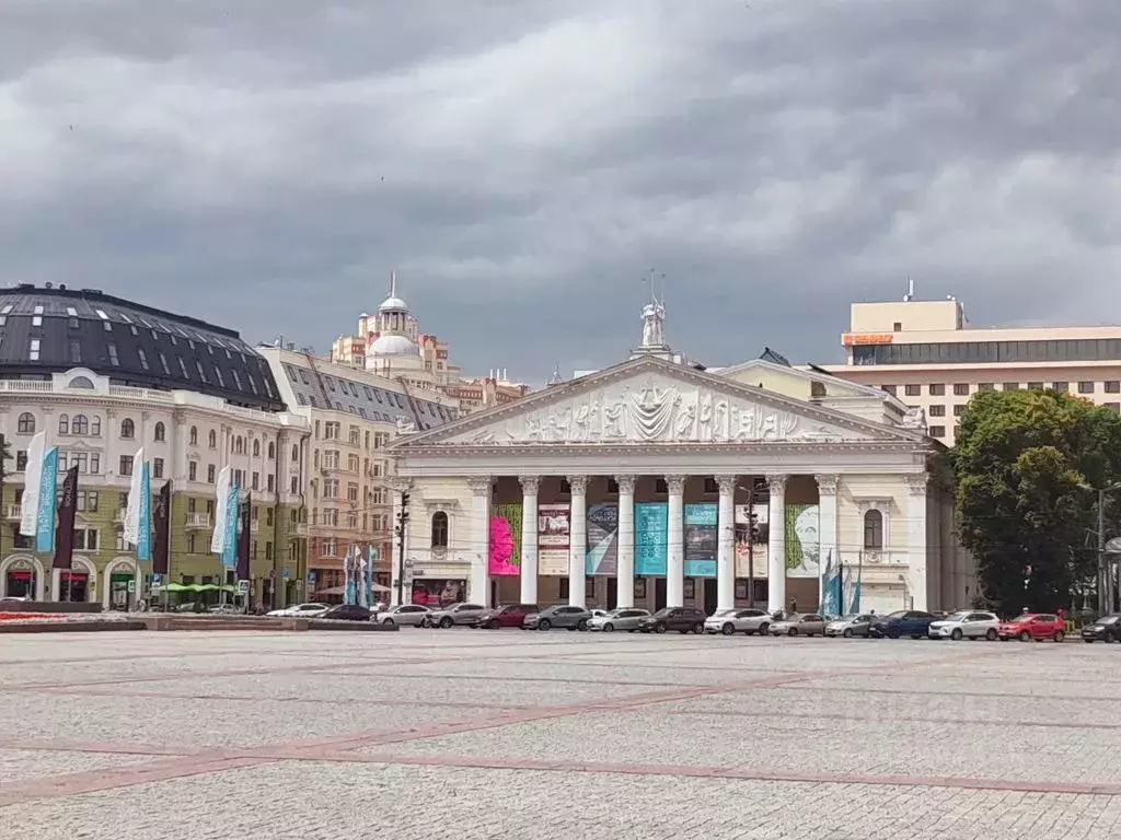 1-к кв. Воронежская область, Воронеж Пушкинская ул., 11А (40.0 м) - Фото 1