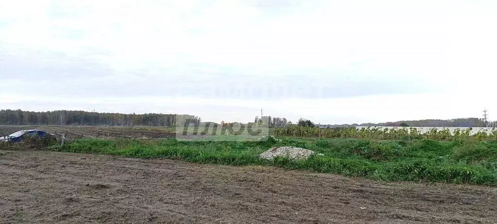 Участок в село Пушкино, Цветочная улица (15 м) - Фото 1