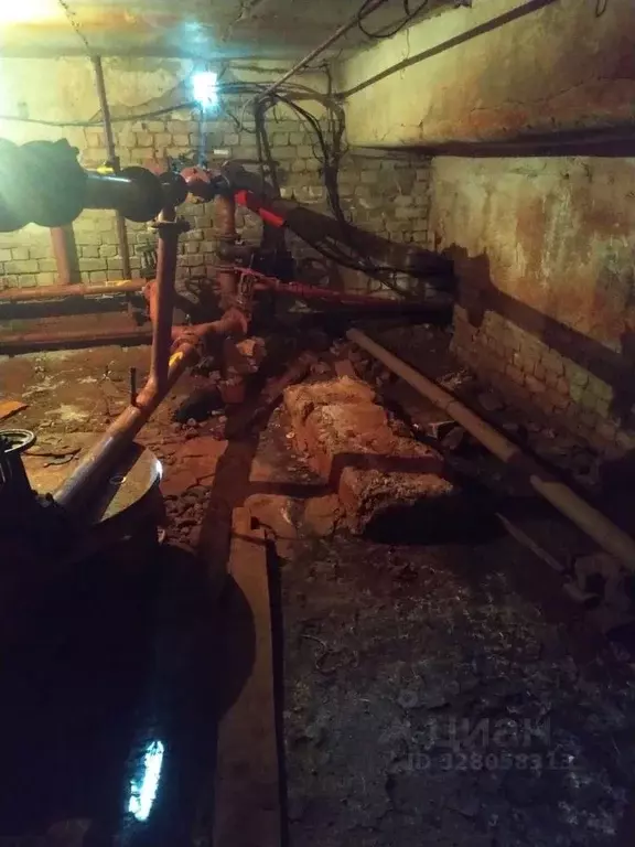 Помещение свободного назначения в Брянская область, Брянск ул. ... - Фото 1