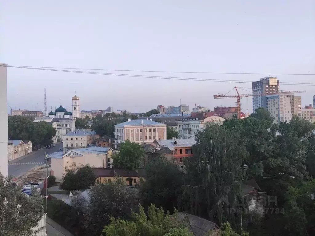 2-к кв. Нижегородская область, Нижний Новгород Ильинская ул., 35 (45.0 ... - Фото 0