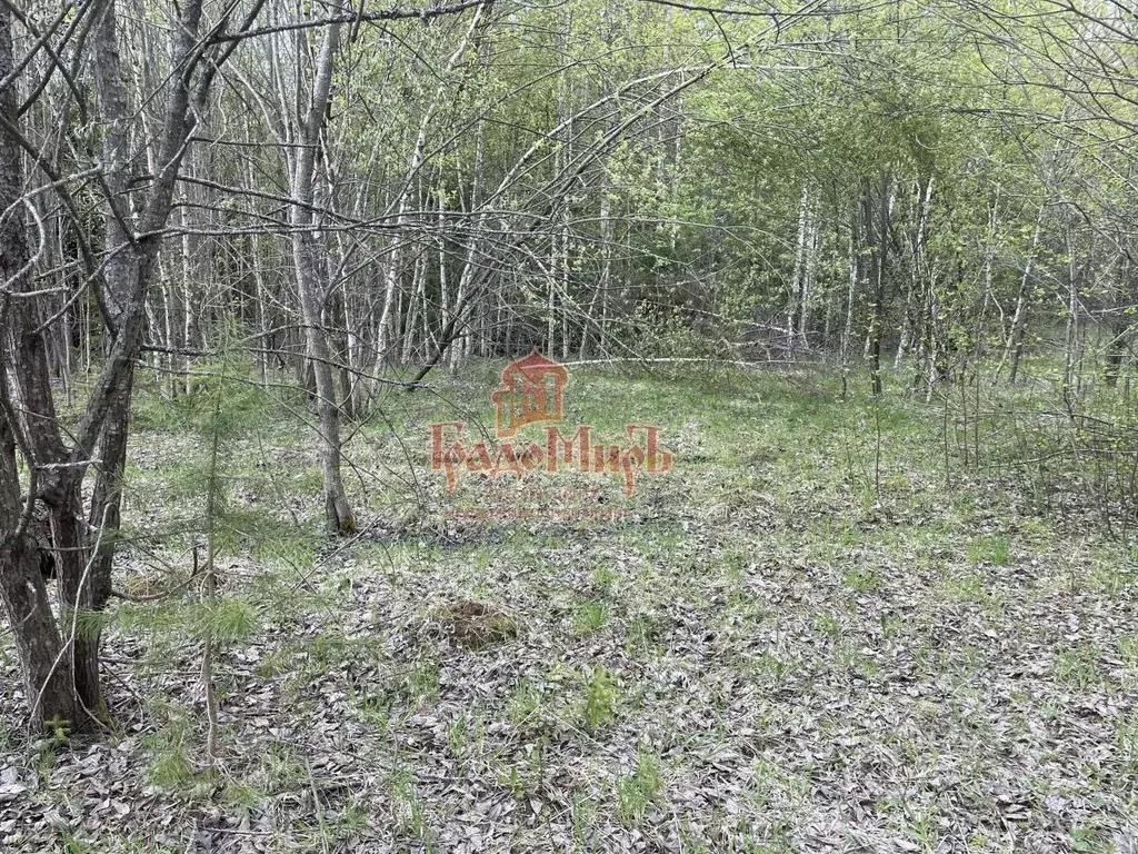 Участок в Московская область, Сергиево-Посадский городской округ, д. ... - Фото 1