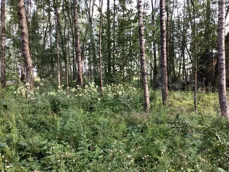 Участок 6,4 сот. (ИЖС) - Фото 0