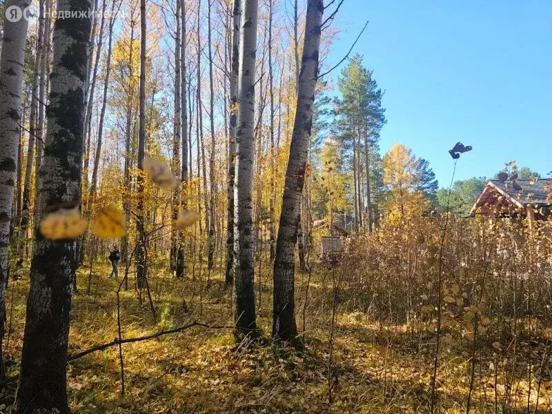 Участок в Иркутский муниципальный округ, посёлок Бурдугуз, улица ... - Фото 1