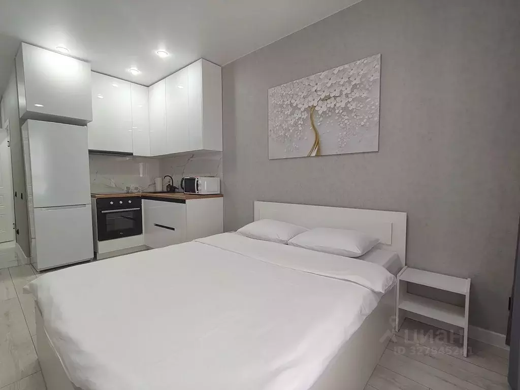 Студия Пензенская область, Пенза ул. Измайлова, 58Ак3 (28.0 м) - Фото 2