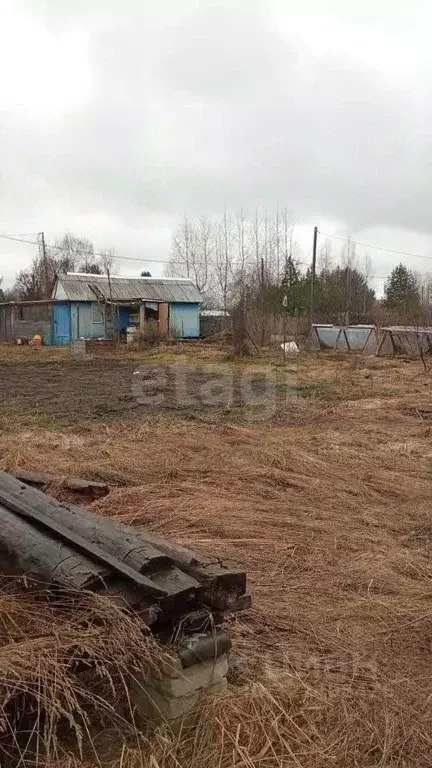 Участок в Вологодская область, Дубрава садоводческое товарищество  ... - Фото 0