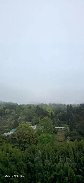 2-к кв. Краснодарский край, Сочи Светлана мкр, ул. Депутатская, 10Дк1 ... - Фото 1